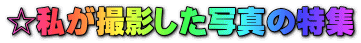 �������B�e�����ʐ^�̓��W