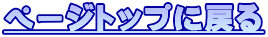 �y�[�W�g�b�v�ɖ߂� 
