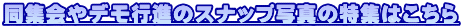 ���W���f���s�i�̃X�i�b�v�ʐ^�̓��W�͂�����